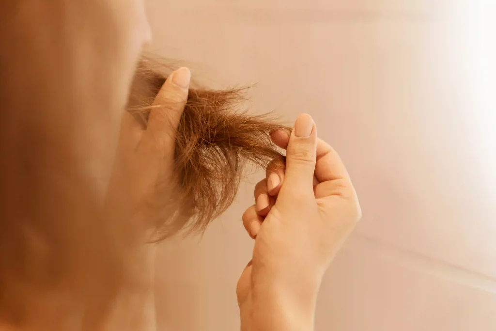 Close-up of a woman's hands holding up dry, damaged hair ends to inspect split ends and frizz under warm lighting.