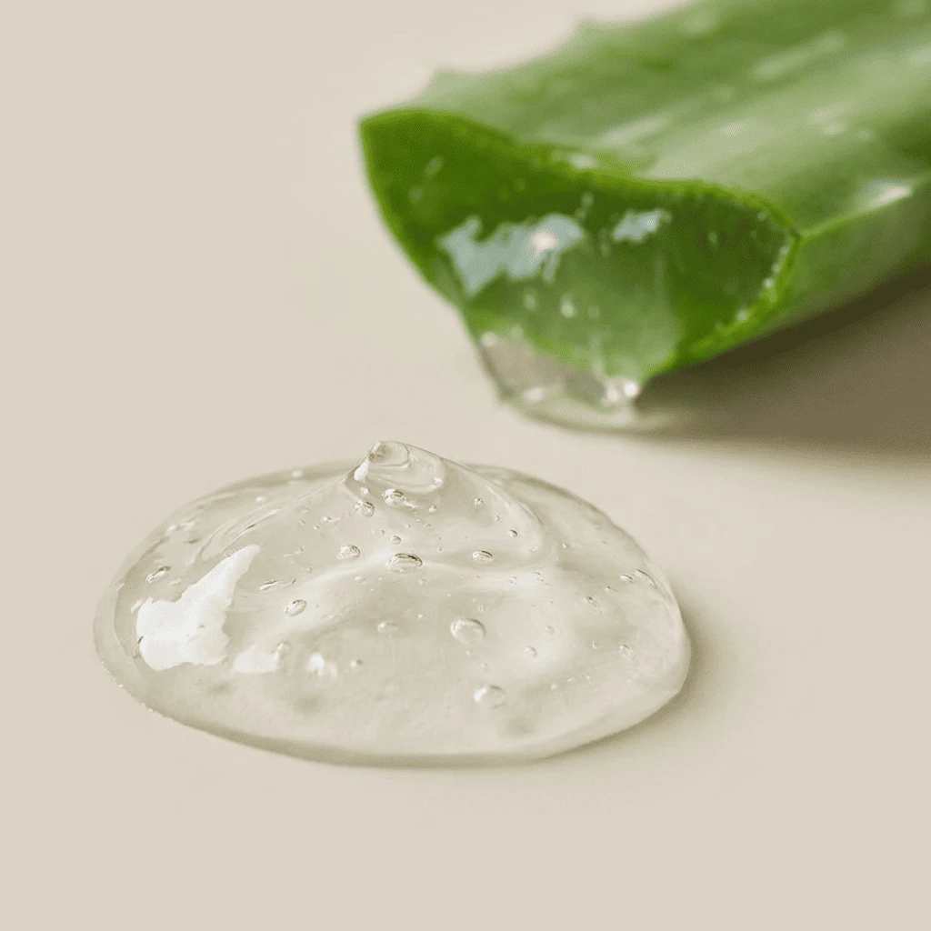 Macro shot of fresh aloe vera gel with a sliced leaf, highlighting natural soothing hair care ingredients.