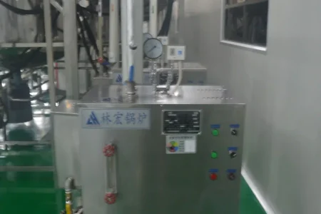 Industrial steam furnace for temperature control in the cosmetics production process at HODM.